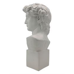 Large plaster bust depicting David, on integral square plinth, H61cm 