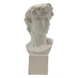 Large plaster bust depicting David, on integral square plinth, H61cm 