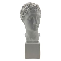 Large plaster classical bust, on integral square plinth, H61cm 