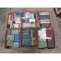 Six Boxes of Fiction and History Books