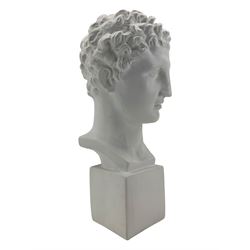 Large plaster classical bust, on integral square plinth, H61cm 