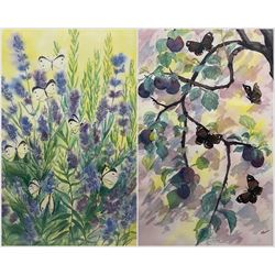 Jane Muir (British Contemporary): Butterflies with Lavender and Plums, pair watercolours signed 54cm x 36cm (2)