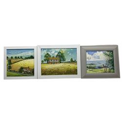 Robin Alexander Elliott (British 1936-): Summer Scenes, three oils on canvas signed and titled verso max 29cm x 39cm (3)
