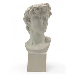 Large plaster bust depicting David, on integral square plinth, H61cm 