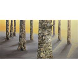 Mo Enright (Northern British Contemporary): 'After Nine', oil on canvas signed 60cm x 120cm
Provenance: Purchased from the 'Great North Art Show' at Ripon Cathedral
Notes: Part of the artist's 'Silver Birch' series